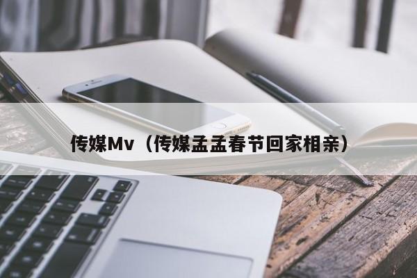 传媒Mv（传媒孟孟春节回家相亲）