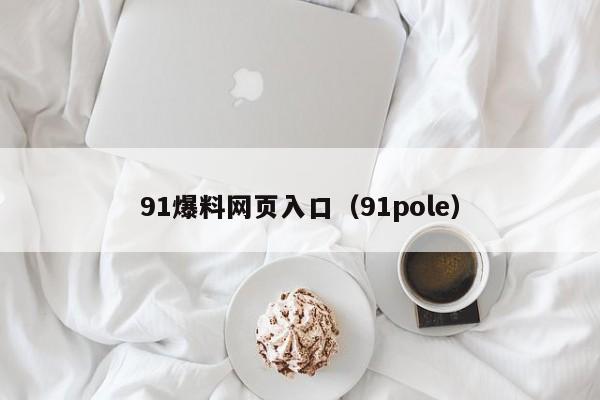 91爆料网页入口（91pole）